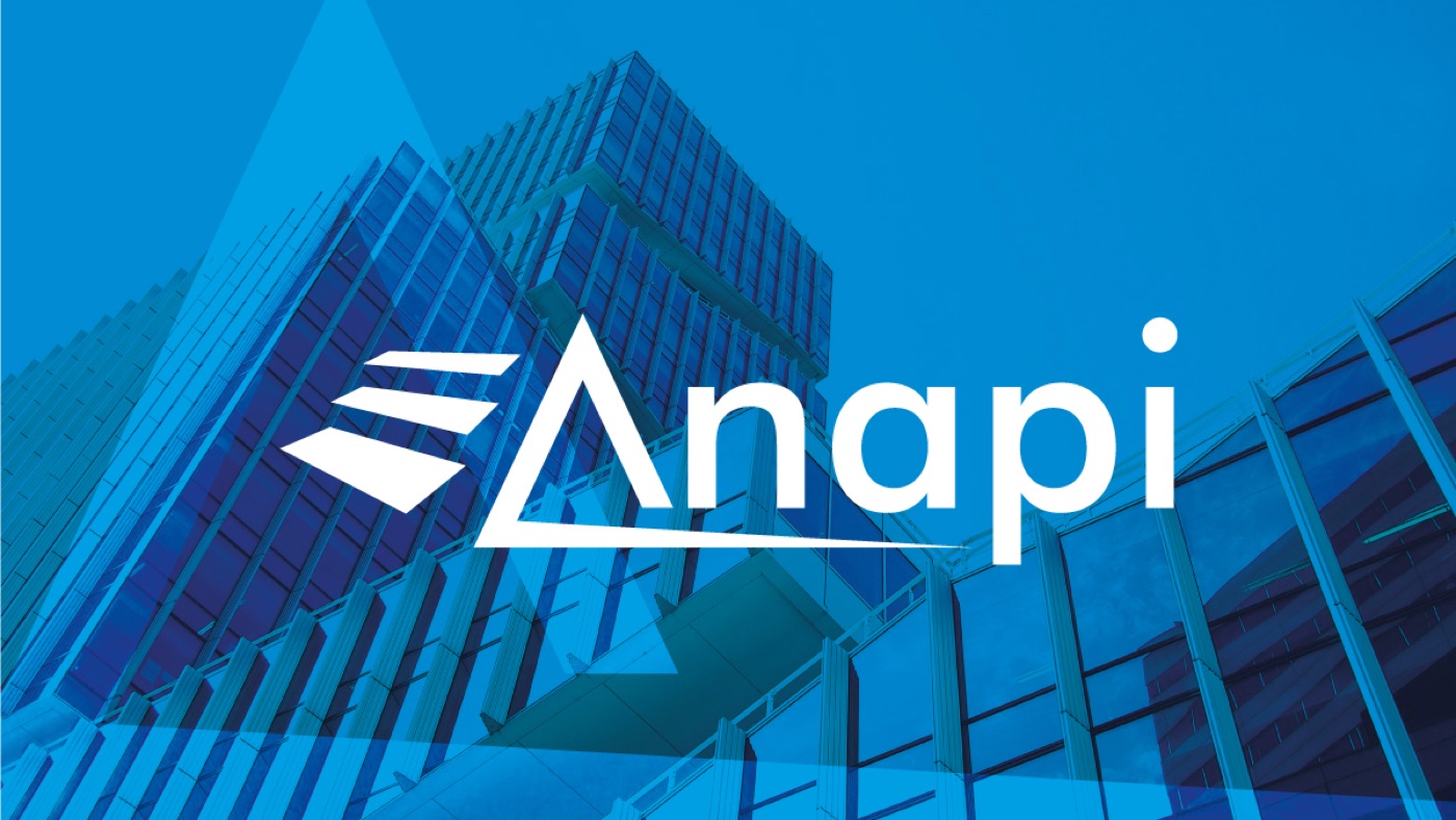 Anapi, identità visiva