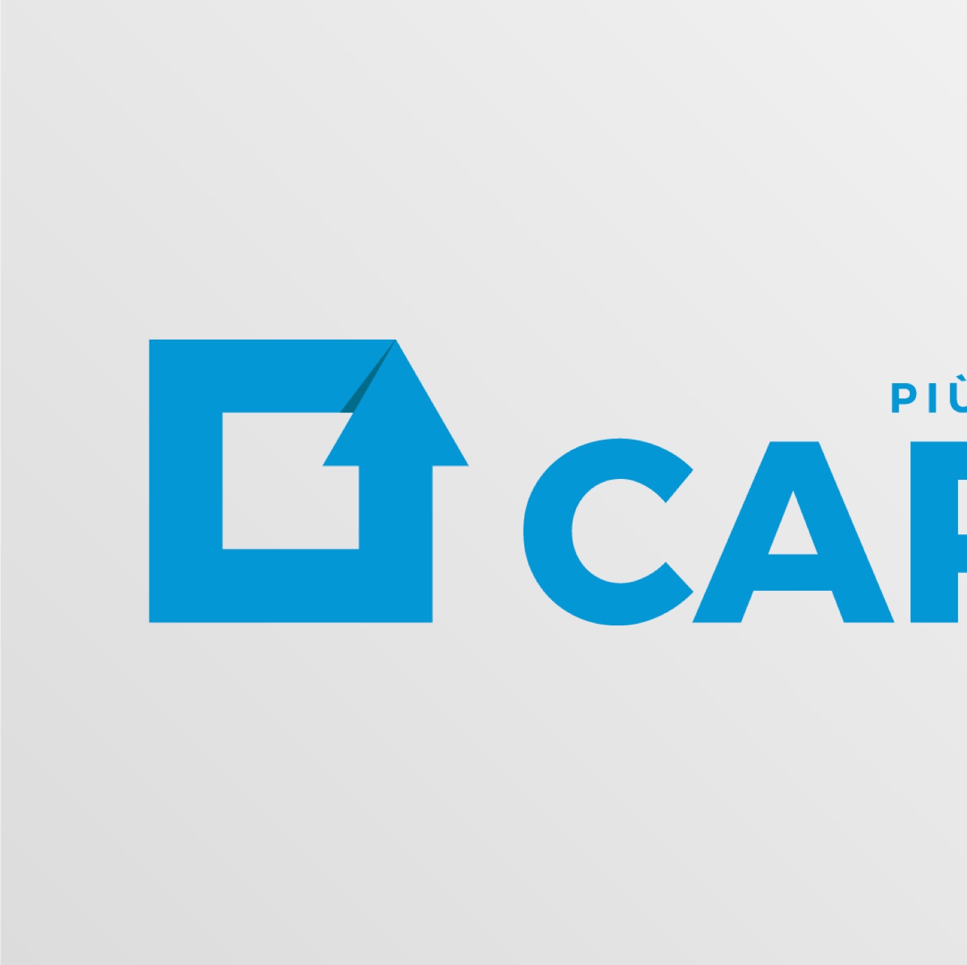 Carefin, il progetto ricomposto dal feed Instagram