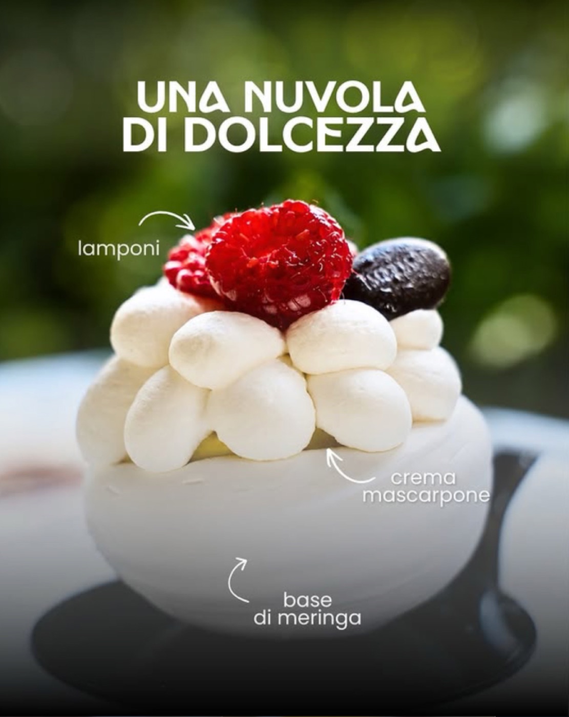 Gran Caffè Imbriani, il progetto