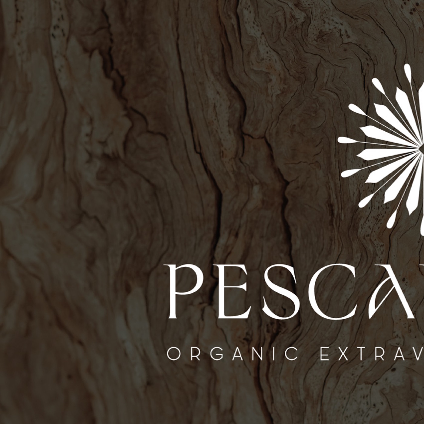Pescariello, il progetto ricomposto dal feed Instagram
